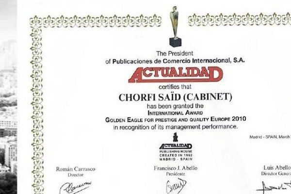 Golden Eagle Award 2010